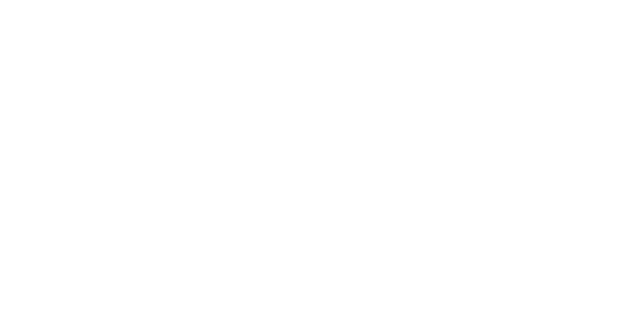 Womerang logo